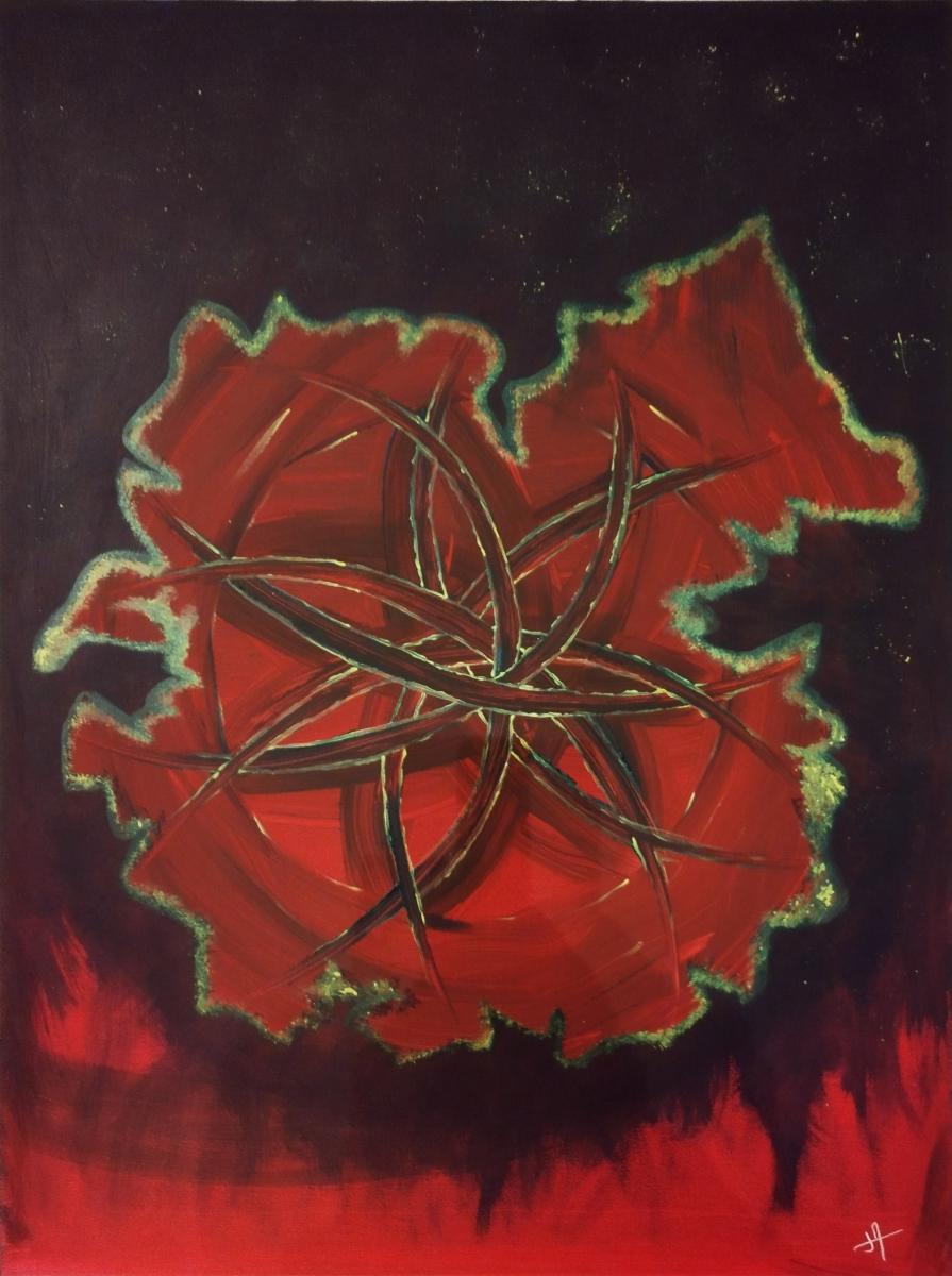 Naissance d'une graine de vie